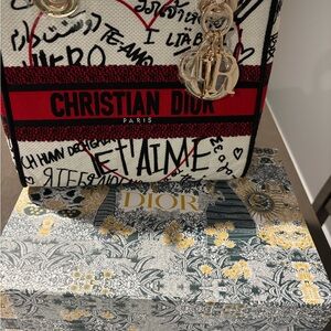 Dior Signature Graffiti Interior Bag